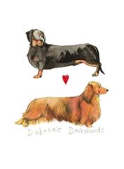 Bild von DEBONAIR DACHSHUNDS