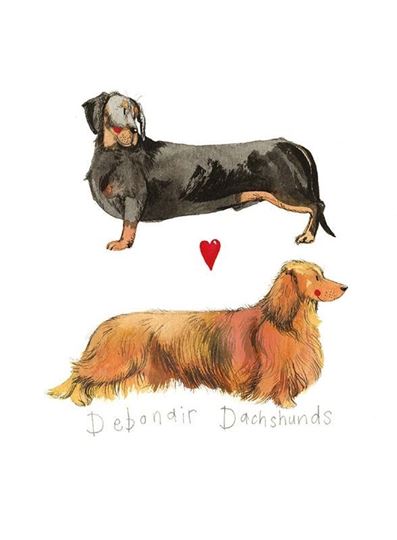 Bild von DEBONAIR DACHSHUNDS