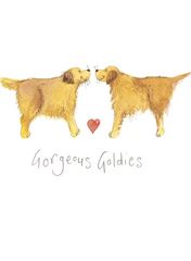 Picture of GORGEOUS GOLDIES