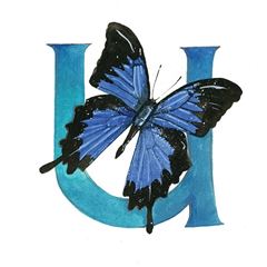 Picture of U ALPHABET TILE