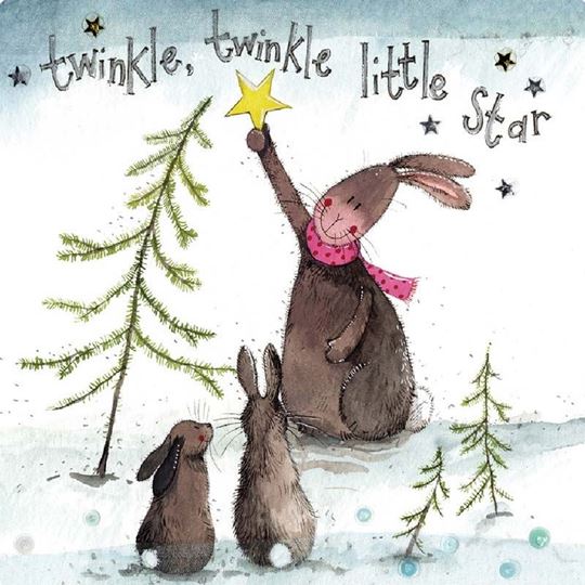 Picture of TWINKLE TWINKLE