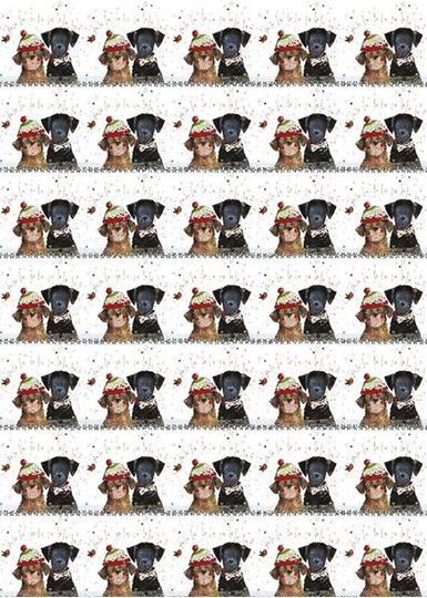 Immagine di CHRISTMAS DOG WRAP