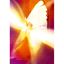 Image de Leinwandbild Grosses Herz
