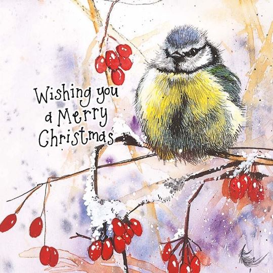 Bild von BLUE TIT