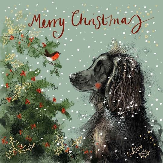 Picture of SPANIEL AND HOLLY