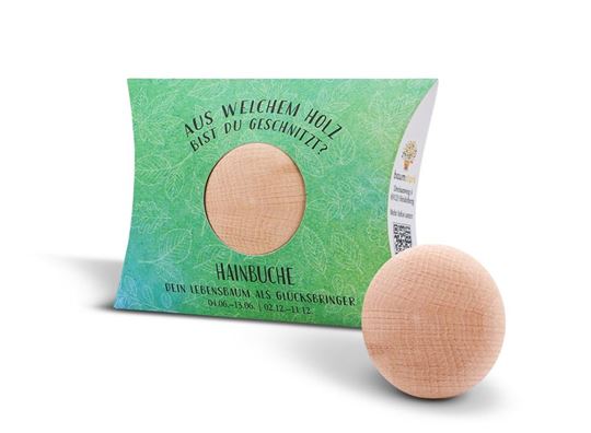 Immagine di Handschmeichler Hainbuche mit Baumhoroskop von baumstark