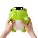 Picture of Noodoll Classic Plush Toy 20 cm Riceribbit Graduate, VE-4