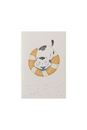 Bild von Notizbücher SPLASHY CATS 3er-Set