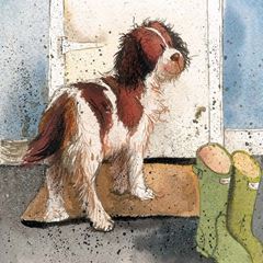 Bild von PATIENCE