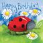 Bild von LITTLE LADYBIRD BIRTHDAY CARD