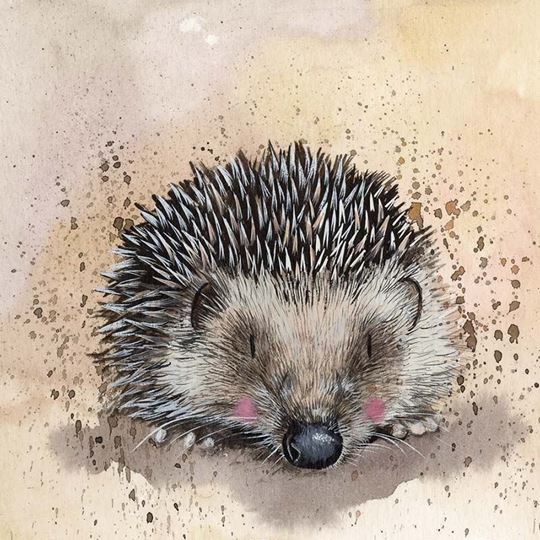 Image sur HARRIET BLANK CARD