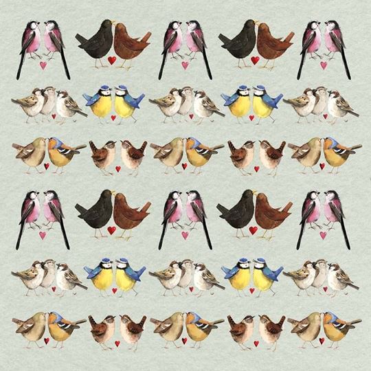 Image sur BRILLIANT BIRDS BLANK CARD