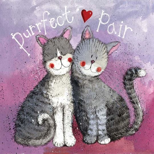 Bild von PURRFECT PAIR CARD
