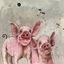 Bild von PIGLETS BLANK CARD