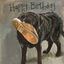 Picture of SLIPPER BIRTHDAY CARD