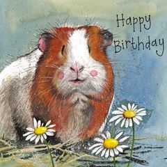 Bild von GORDON BIRTHDAY CARD