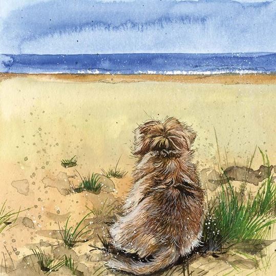 Image sur LOOKING OUT TO SEA BLANK CARD