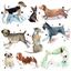Picture of DOGS