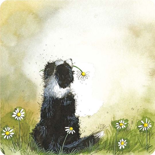 Bild von COLLIE AND FLOWERS
