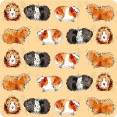 Bild von GUINEA PIGS