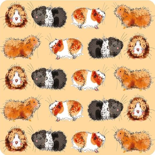 Picture of GUINEA PIGS