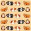 Picture of GUINEA PIGS