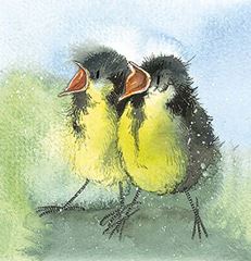 Bild von JUVENILES