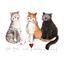 Immagine di THE GOOD, THE BAD AND THE INCREDIBLY FURRY COASTER