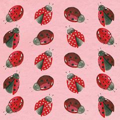 Bild von LADYBIRDS COASTER