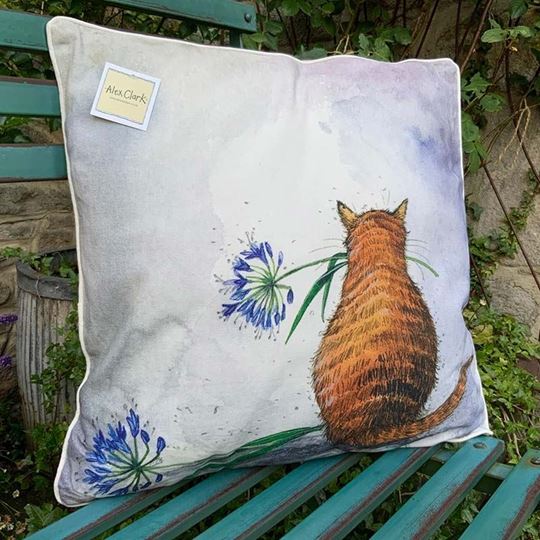 Bild von CAT AND AGAPANTHUS
