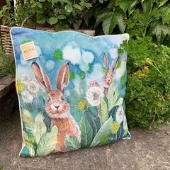 Bild von LITTLE RABBITS