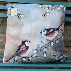 Bild von LONGTAILS