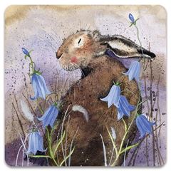 Immagine di HARE AND HAREBELL
