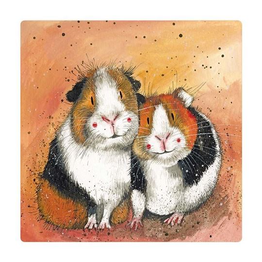 Picture of THE GUINEA PIG GUYS