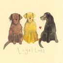 Bild von LOYAL LABS KEY RING