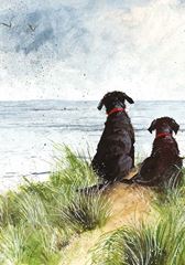 Image de DUNES