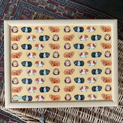Immagine di GUINEA PIGS LAP TRAY