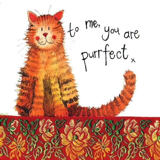 Picture of PURRFECT MISCELLANEOUS CARD