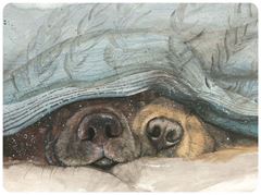 Bild von SNOUTS