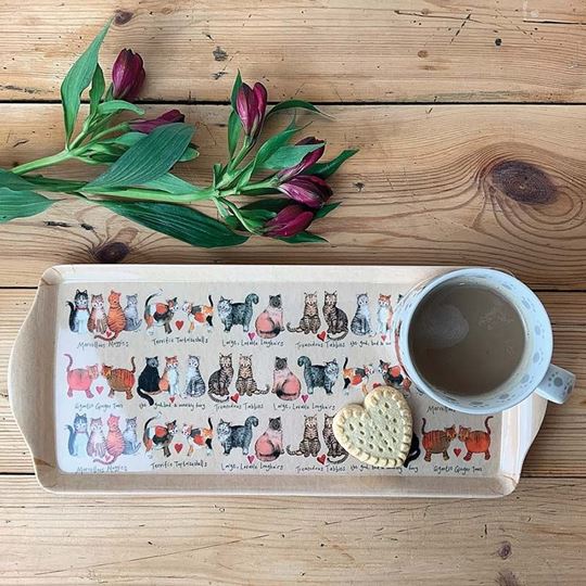Picture of MEDIUM CAT TRAY