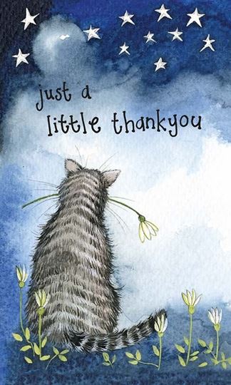 Image sur JUST A LITTLE THANK YOU CAT
