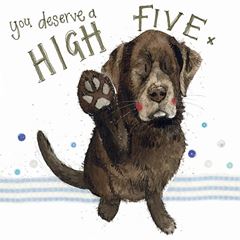 Bild von HIGH FIVE CARD