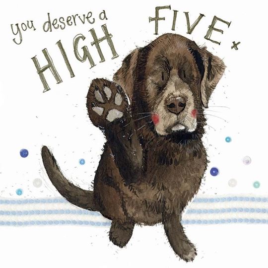 Picture of HIGH FIVE CARD