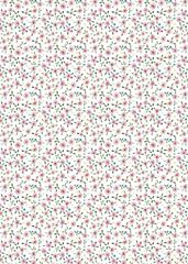 Bild von DAISIES