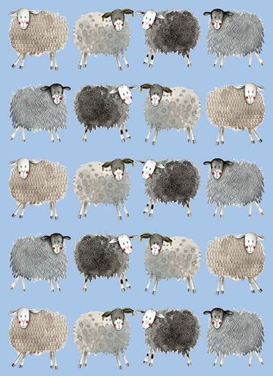 Bild von SPLENDID SHEEP SOFT LARGE NOTEBOOK