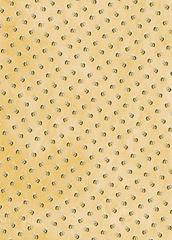 Bild von BEES