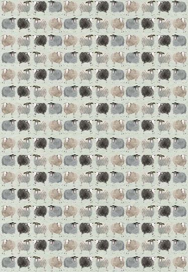 Picture of SHEEP