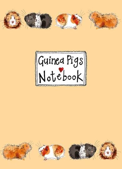 Image sur GORGEOUS GUINEA PIGS