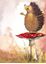 Bild von HEDGEHOG AND TOADSTOL