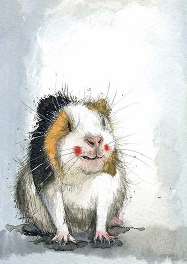 Bild von GUINEA PIG
